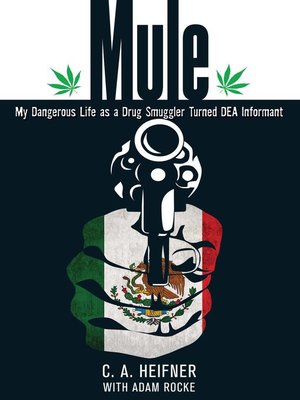 cover image of Mule